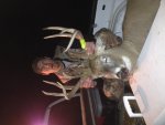 2013buck.jpg