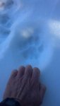 IMG_20131225_091833_303.jpg