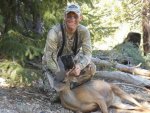 JN 2012 deer.jpg