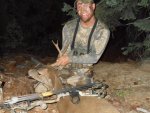 JA 2013 deer.jpg