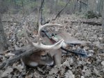 deersideview1.jpg