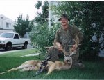 Deer500K.jpg