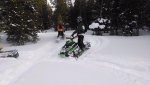 brant snow.jpg
