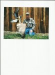 Antelope #3.jpg