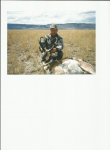 Antelope #4.jpg