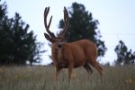 img_3398.jpg