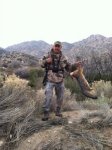 grey fox.jpg