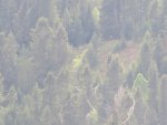 IMG_0317.jpg