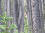 IMG_0381.jpg