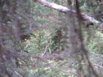 IMG_0529.jpg