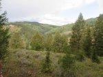 IMG_0548.jpg