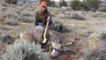 Kylie's 2013 Deer.jpg