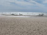 IMG_0027.jpg