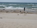 IMG_0028.jpg