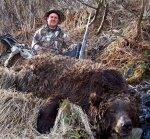kodiak bear take 2.jpg