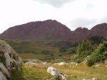 DSCN0149.jpg