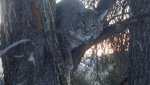 IMG_20131213_160139_218.jpg