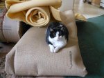 DSCN0913.jpg