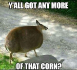 47543