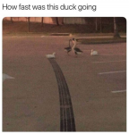 47676