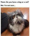 47699