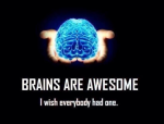 47736