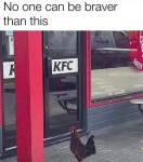 47913