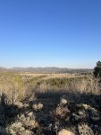IMG_7701.jpeg