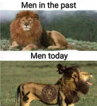 48020
