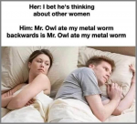 48081