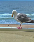 48120