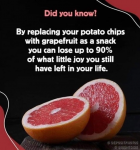 48205