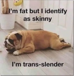 48208