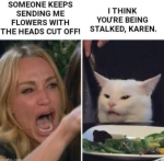 48234