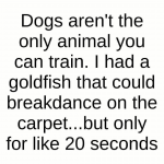 48265