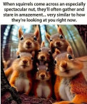 48358