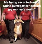 48362