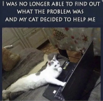 48544