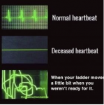48558