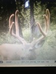 IMG_0048.jpeg