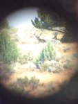 IMG_0312.jpeg