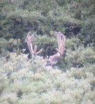 IMG_5149.jpeg
