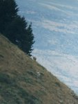 IMG_0224.jpeg
