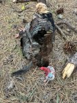 IMG_2282.jpeg