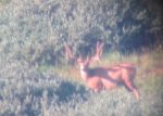IMG_1645.jpeg