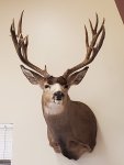 thumbnail_20200323_123915.jpg
