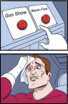 48733