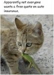 48737