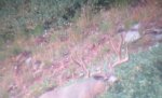 IMG_1656.jpeg