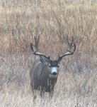 IMG_1475.jpeg